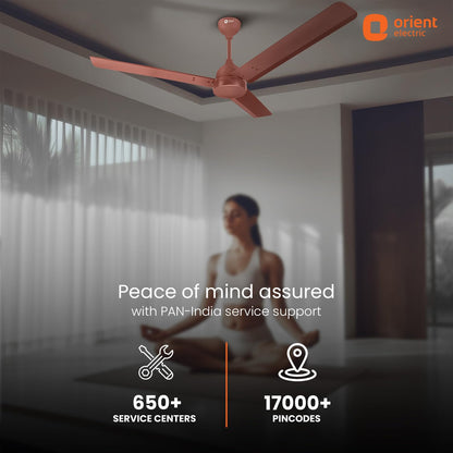 Orient Electric Newly launched 1200 mm Uno BLDC | BLDC energy saving ceiling fan with Remote |BEE 5-star rated | Saves up to 50% on electricity bills | 3-year warranty by Orient | Matt Brown