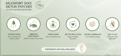 Mugwort Sole Detox Patch (Pack of 10)